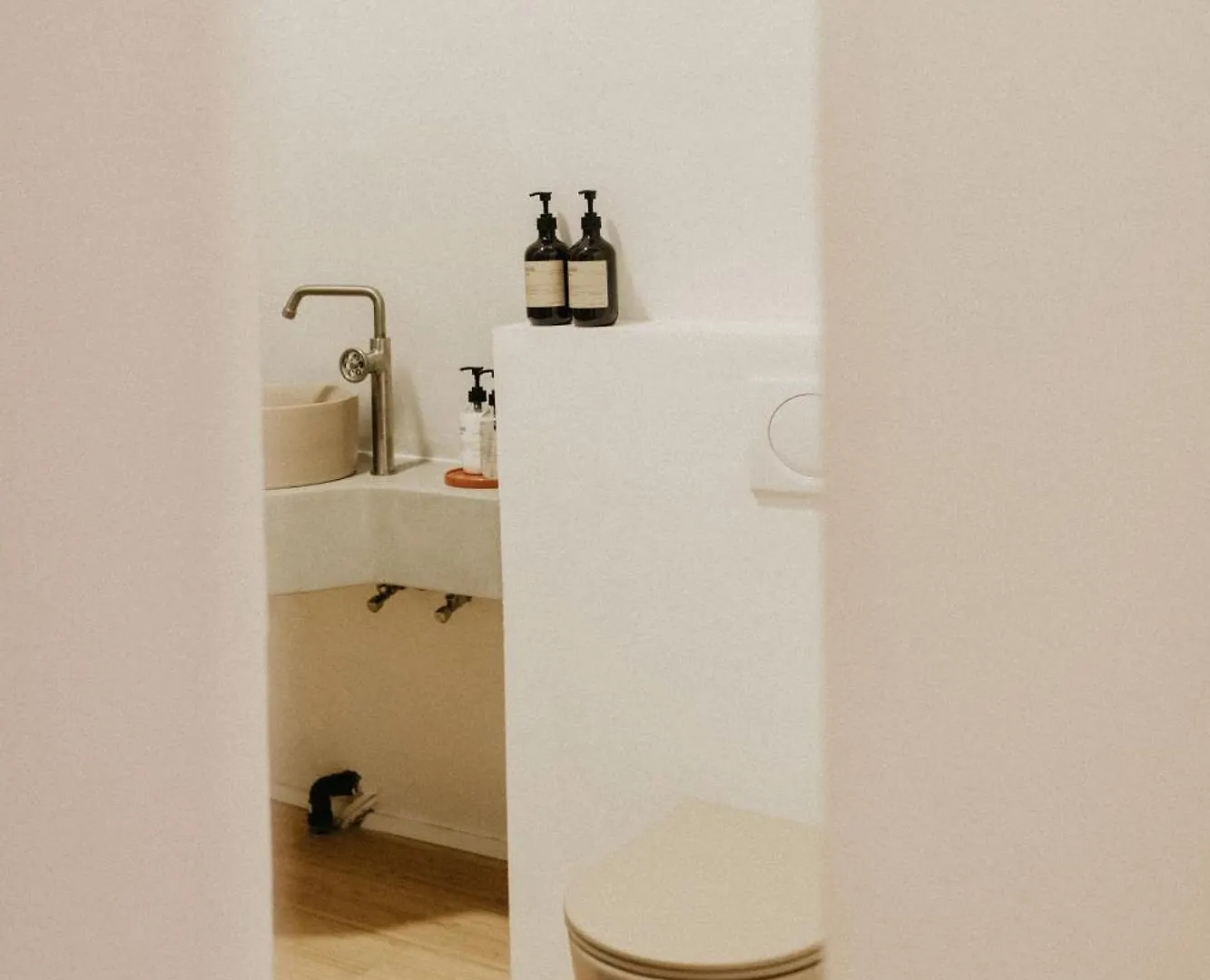 Apartmán Dodo Antverpy Belgie